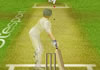Hra Cricket Game