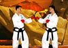 Hra Tae Kwon Do