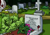 Hra The Dead Case