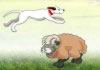Super hra Sheep Jumper