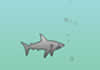 Hra Shark Attack