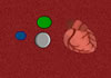 Hra White Lymphocyte